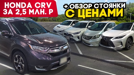 Honda CRV, Subaru Levorg, Toyota RAV4, Lexus RX