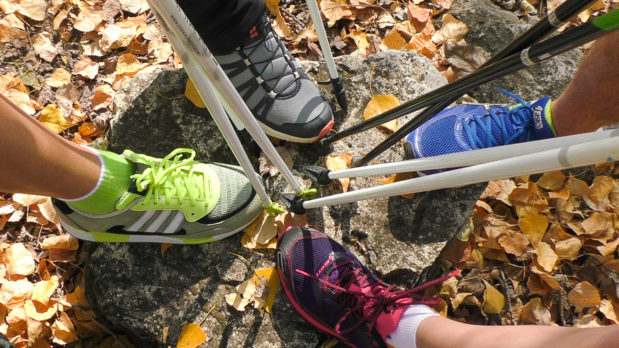 (C) RNWA. Палки для скандинавской ходьбы