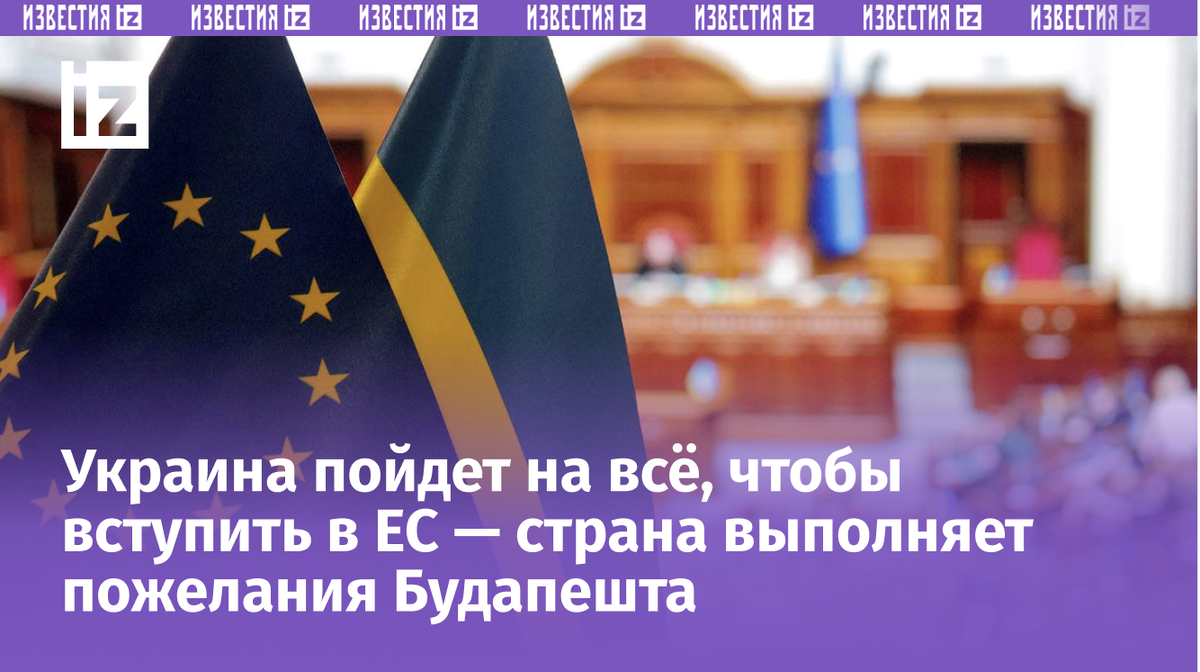 Фото: Global Look Press/Eugen Kotenko