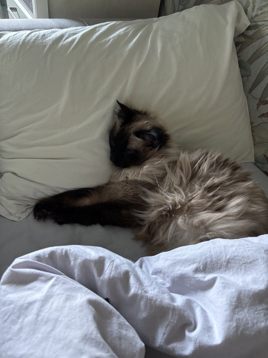 Говорят, что во время сна организм восстанавливается и лечится