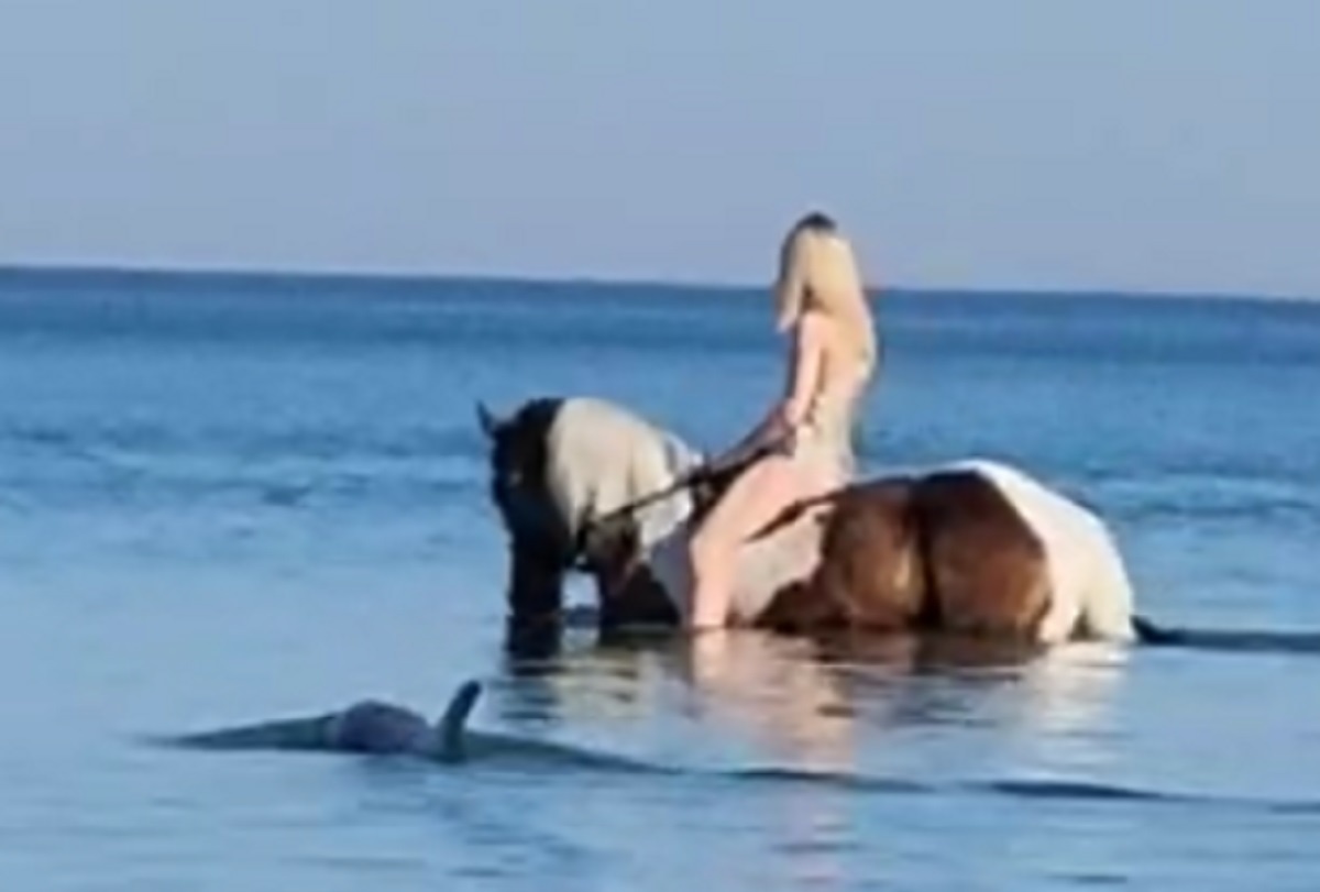 Скрин с видео. 