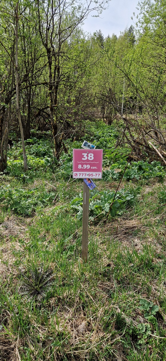 Фото участка из объявления.