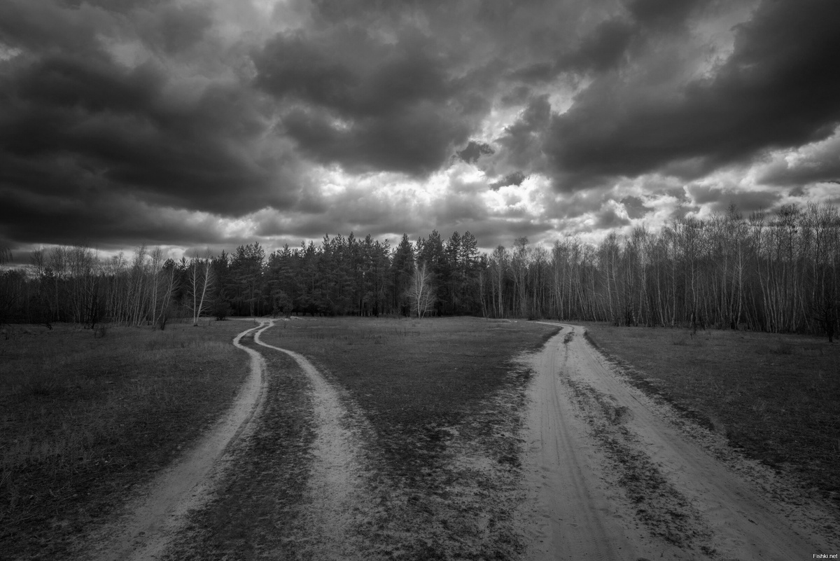 Каким путем двигаться в Будущее? - вот в чем вопрос