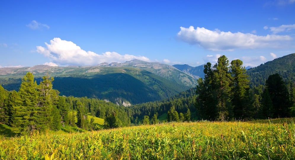 Завораживающий Алтай: лучшие отели для вашего отдыха