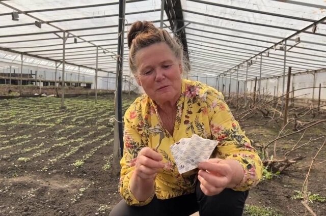    Фото: Скриншот видео