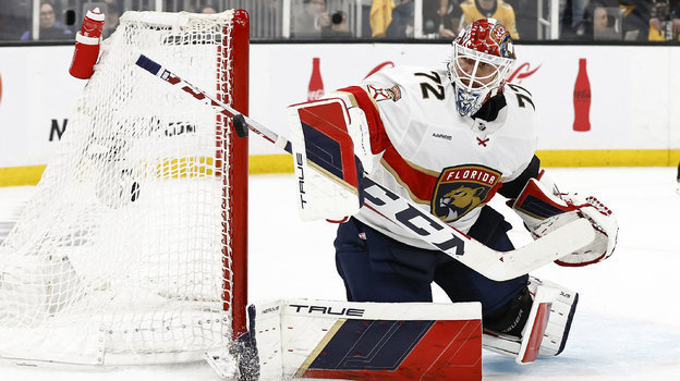    Сергей Бобровский. USA Today Sports