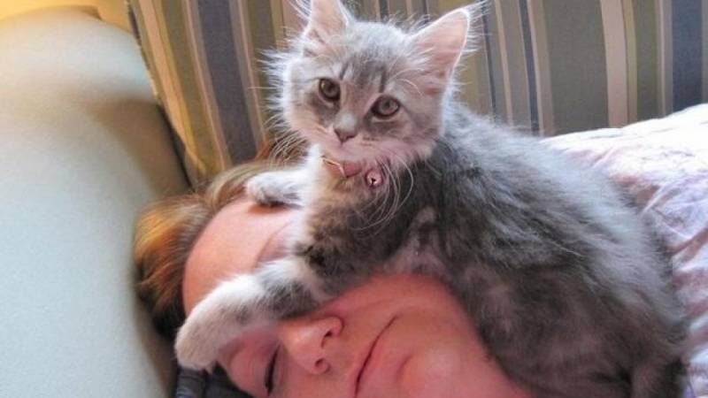 Фото из Интернета.