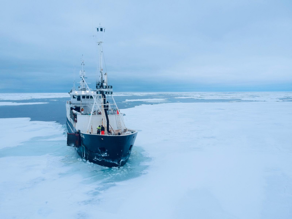 

«МВР»: Какая производительность судна? Каким методом добывает краба? В каком виде улов доставляется на берег?