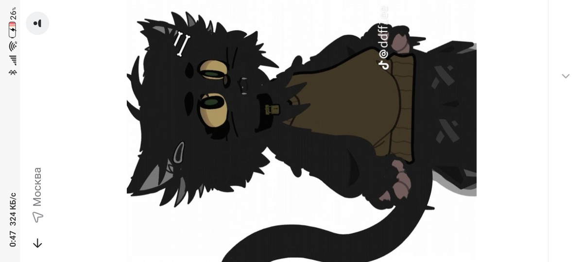 Я живу в Калининграде