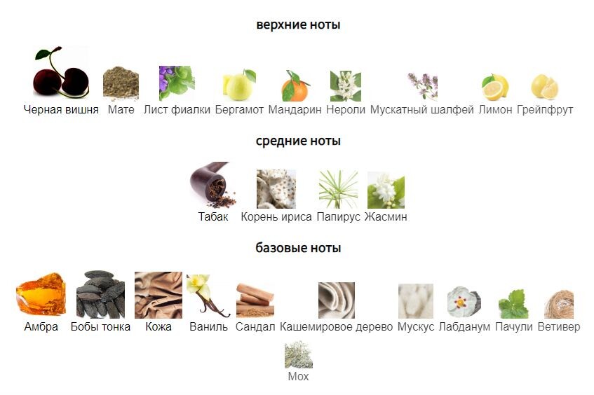 fragrantica.ru