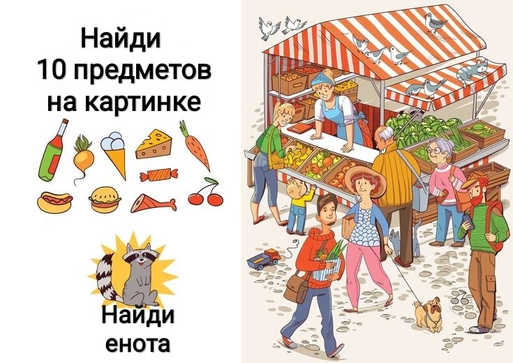 Найди енота