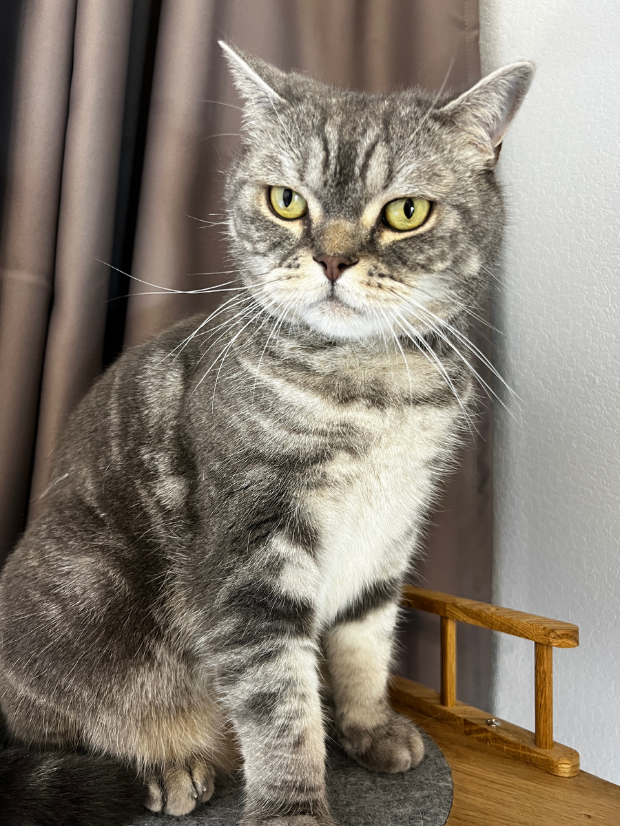 Это всё мне?