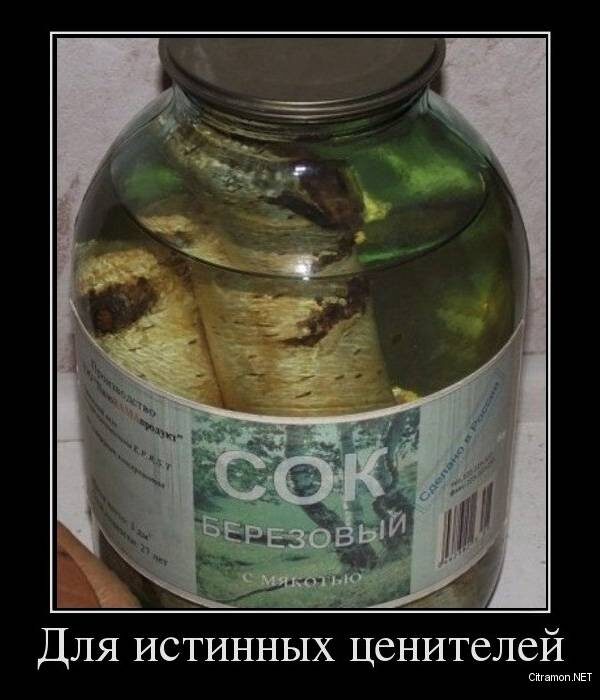 Яндекс.Картинки
