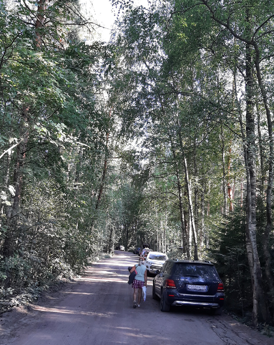 дорога к озеру