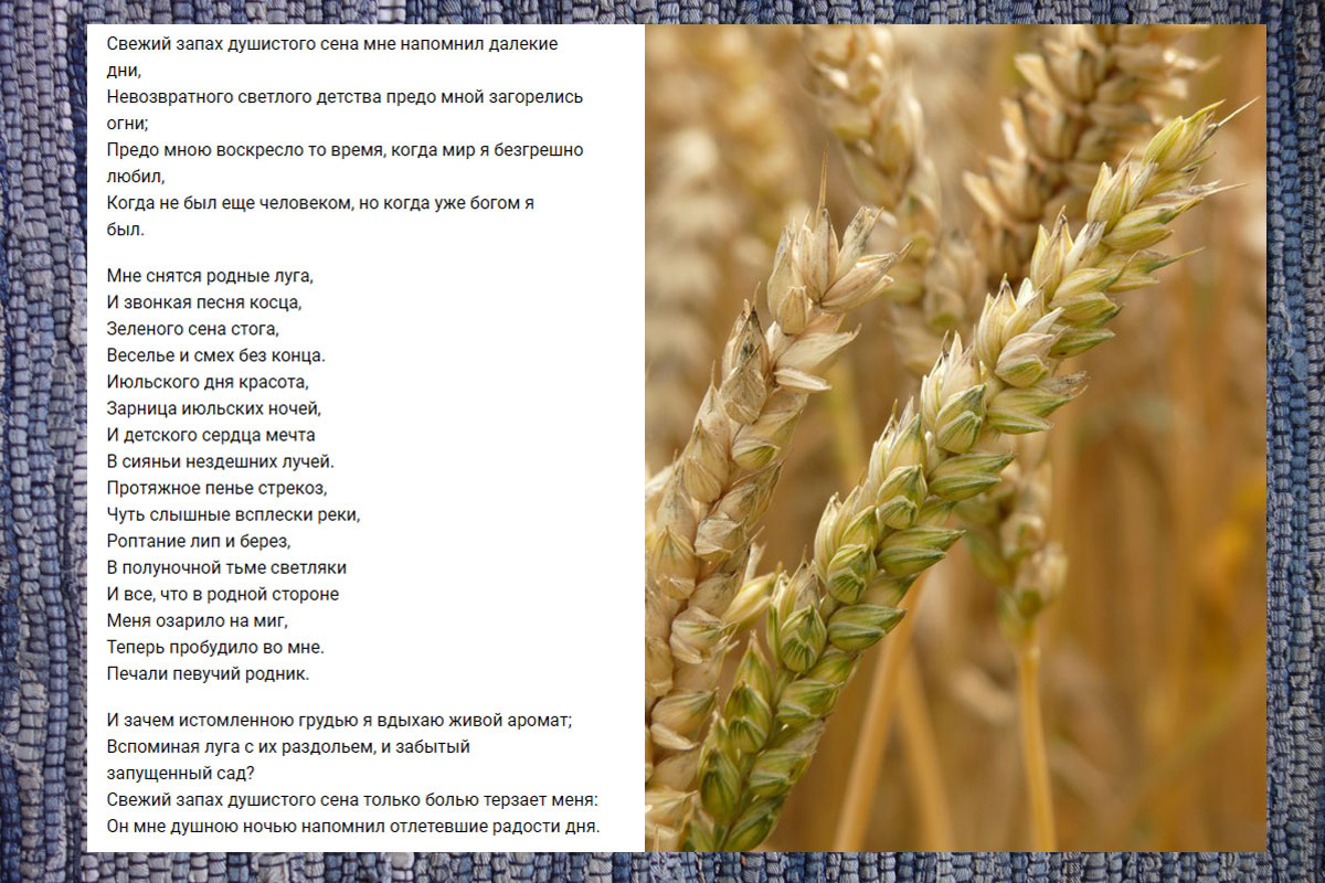 "Июнь. Июль. Часть соловьиной дрожи". Лето продолжается. Упоительное, восхитительное время года, воспетое поэтами.-2