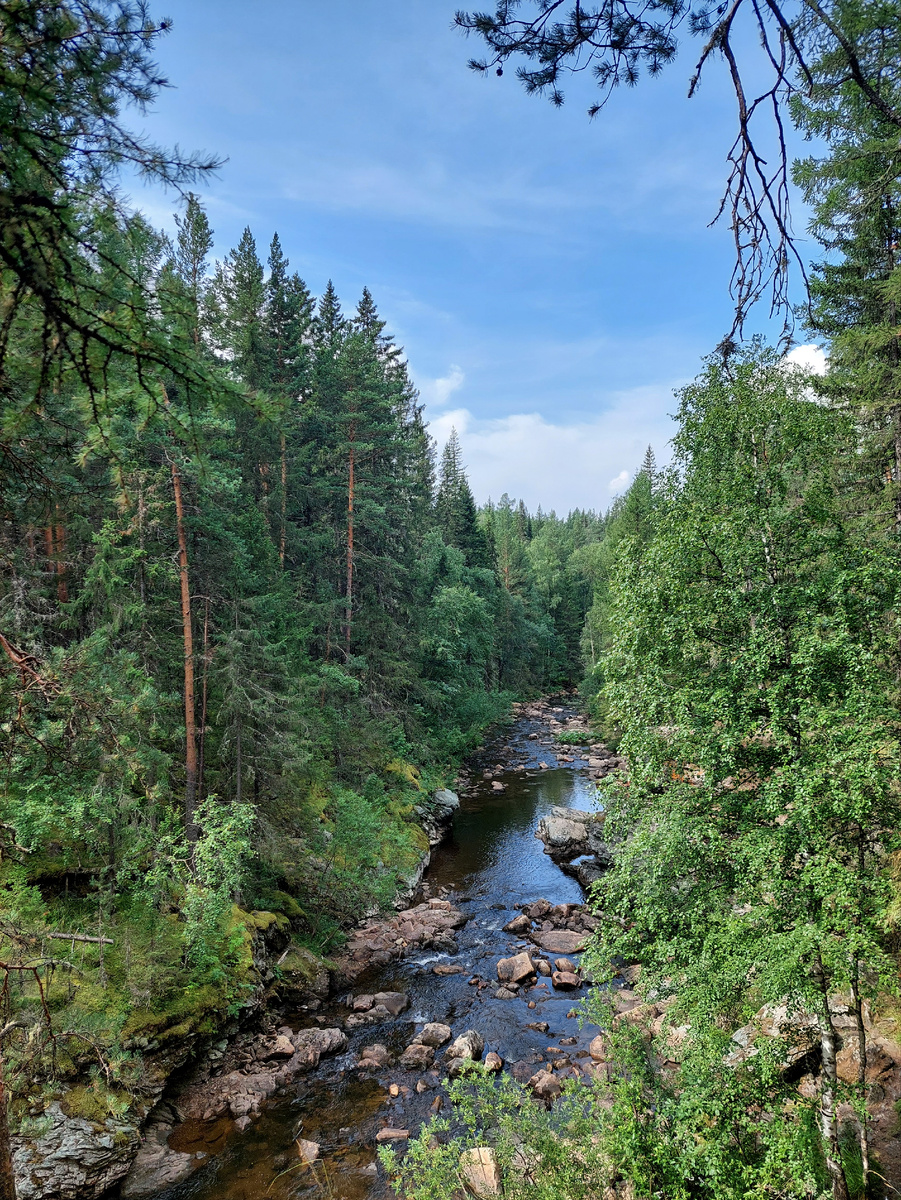 Ущелье окружено лесом