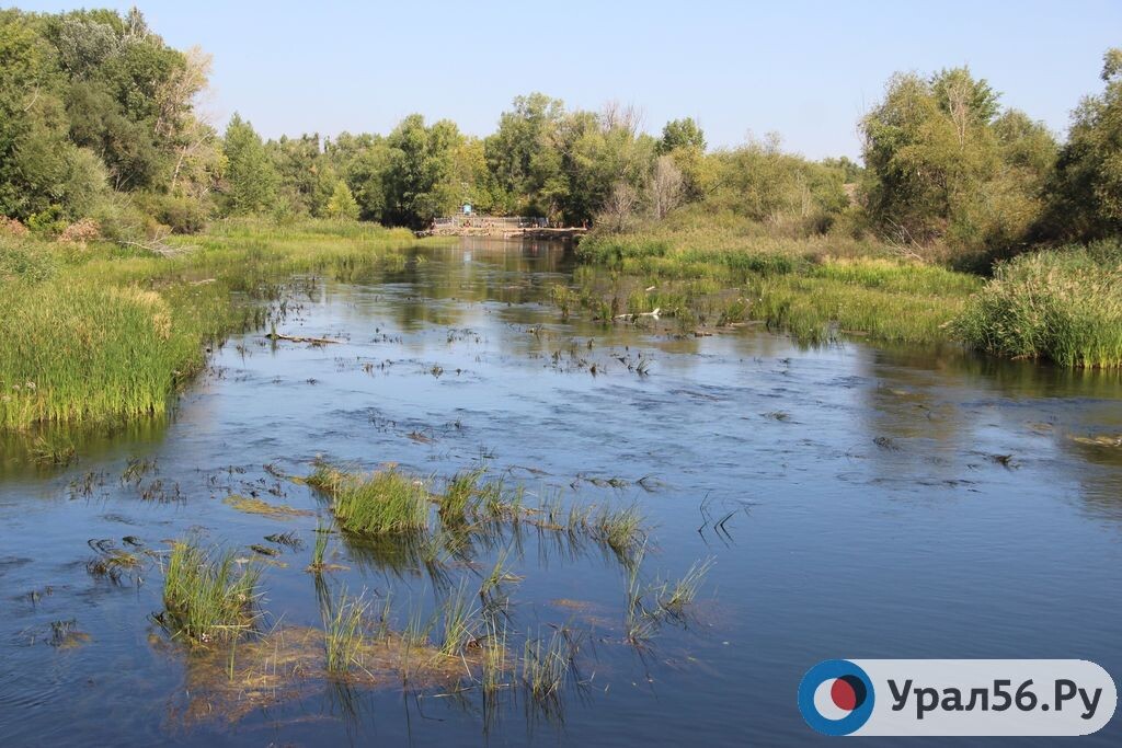    До следующей весны в Орске прочистят 4 участка русла Урала
