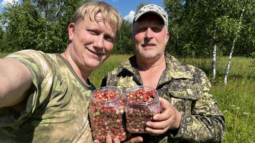 ГРИБНИКИ СОРВАЛИ ДЖЕКПОТ ! БОЛЬШОЕ ПУТЕШЕСТВИЕ ЗА ГРИБАМИ В СТРАШНУЮ ЖАРУ ! Грибы 2024 !