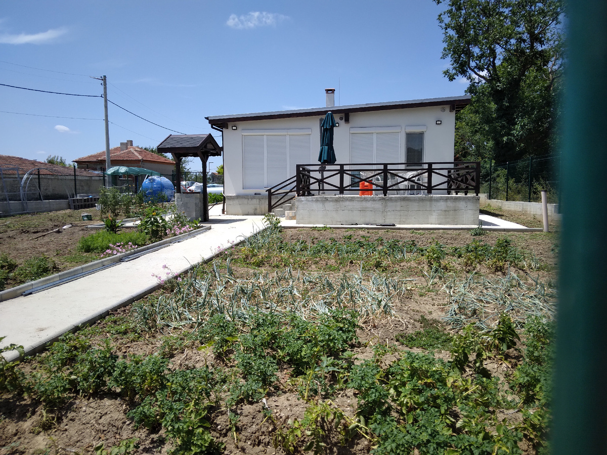 Болгария. 29.06.2024. Хроника сельских будней | Марина Вальцифер | Дзен