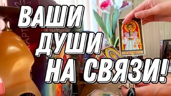 Ваши Души на связи! Разговор по душам! 💯 таро расклад 💖 онлайн гадание