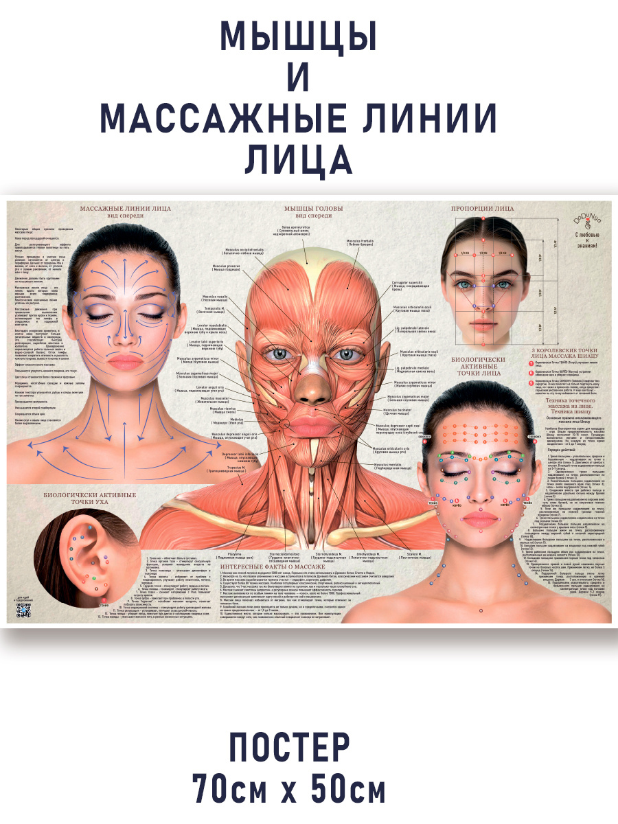 Наглядное пособие по массажу лица