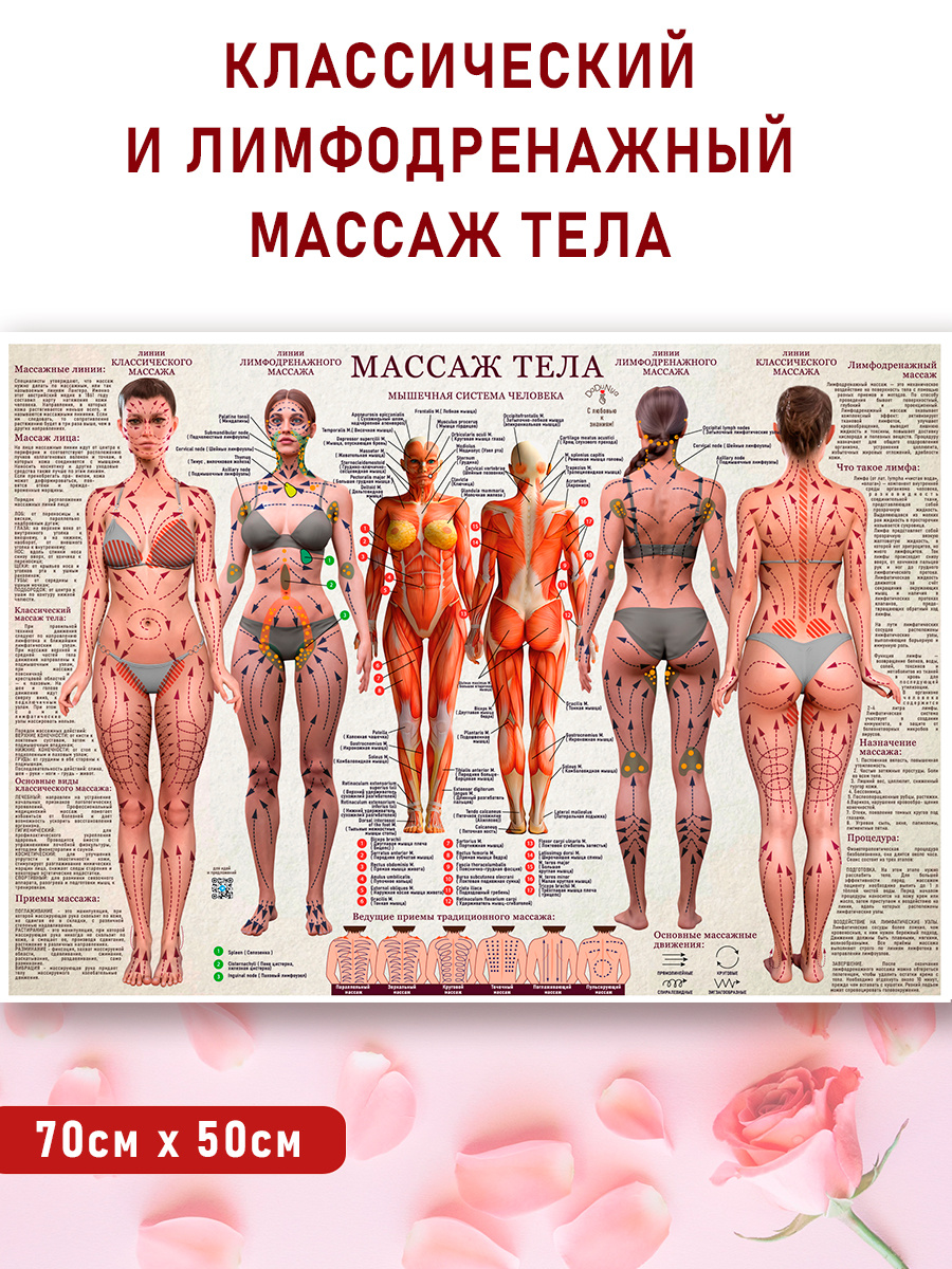 Наглядное пособие по массажу тела
