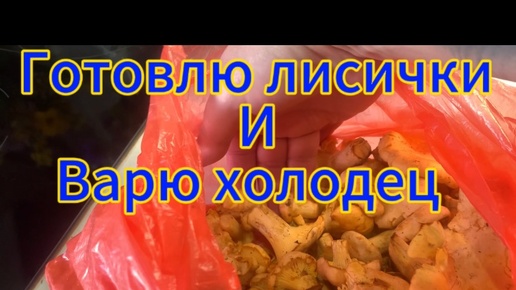 Готовлю ЛИСИЧКИ и варю холодец😋