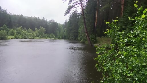 Пошли на прогулку в лес