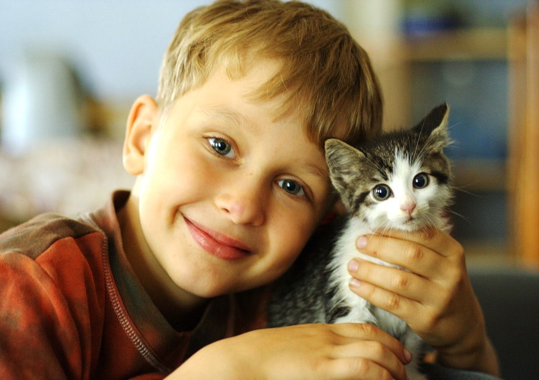 Из свободных источников