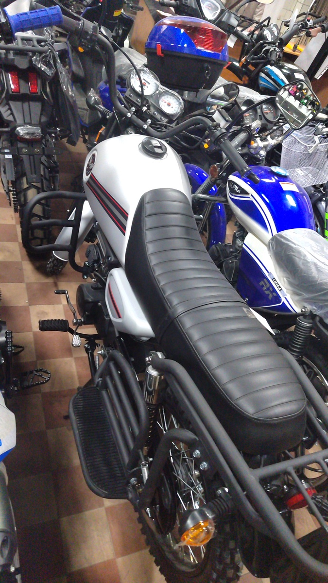 Мой Красавец!