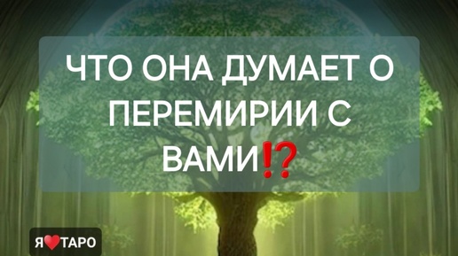 Что она думает о перемирии с вами⁉️ ррасклад таро для мужчин