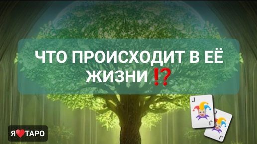 Что происходит в её жизни⁉️ расклад таро для мужчин