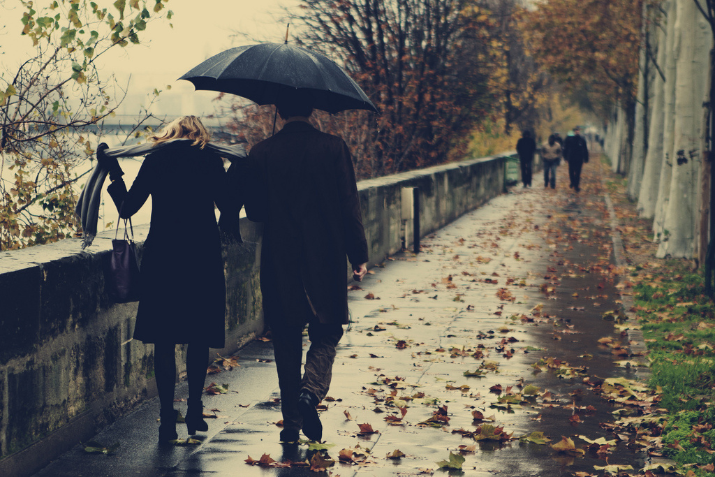 Шел мелкий дождик, пожелтевшие клены грустно махали ветвями, напоминая, что пришла осень.