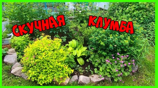 Скучная клумба