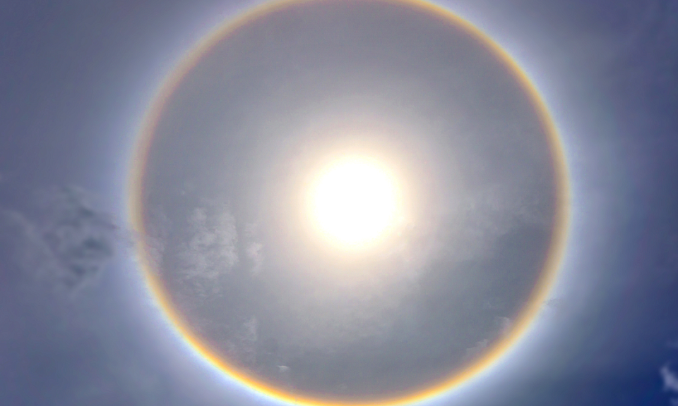 Фото с сайта adobestock.com