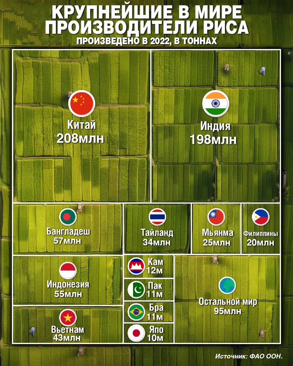 На этом графике показаны крупнейшие в мире производители риса в 2022 году на основе данных Продовольственной и сельскохозяйственной организации ООН (ФАО ООН).