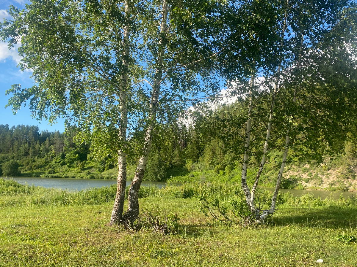 Все фотографии автора