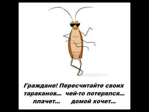 картинка из открытого доступа