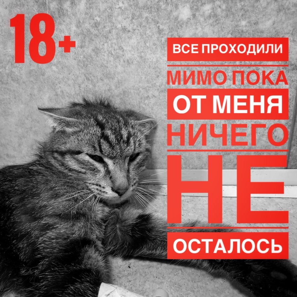 Помогите спасти! Впечатлительным лучше не смотреть. Видео не для слабонервных..