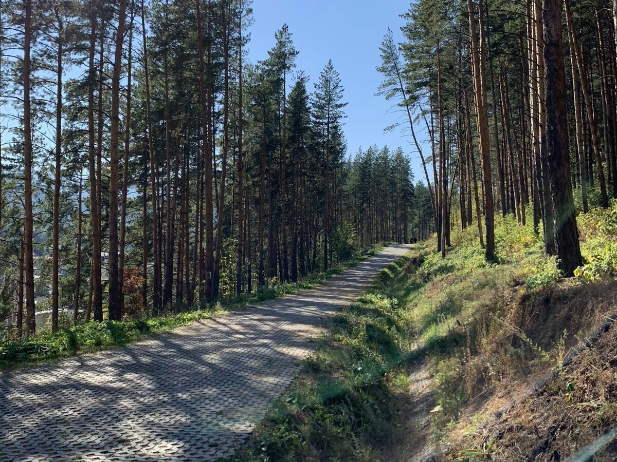 Терренкур за зданием курортной поликлиники