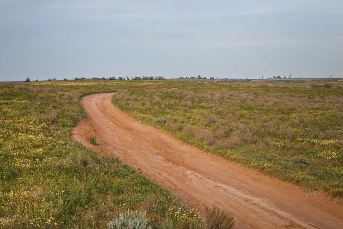 Степь завораживает своей бескрайностью