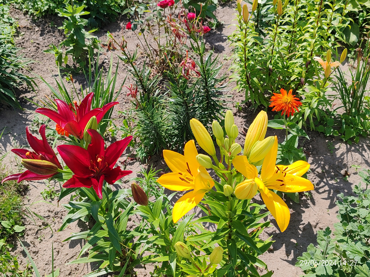 Фото автора канала. 