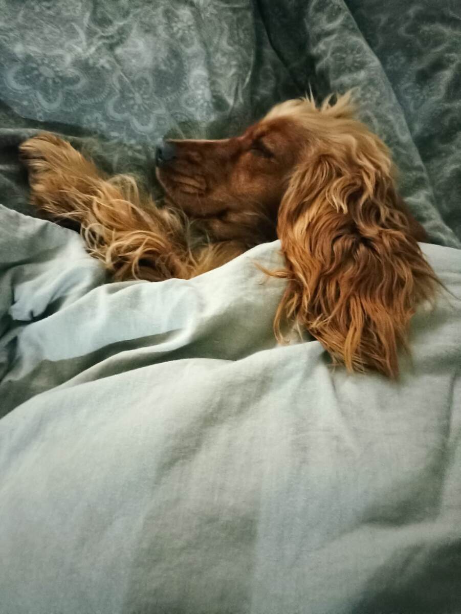 Фото из архива нашей Марфы.