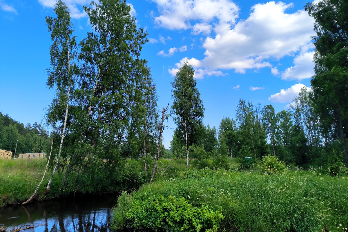 ФОТО: Maksim Konstantinov/Globallookpress 