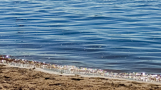 Река Ока. 🌊 Баржи, голуби 🕊️ и дорога домой.