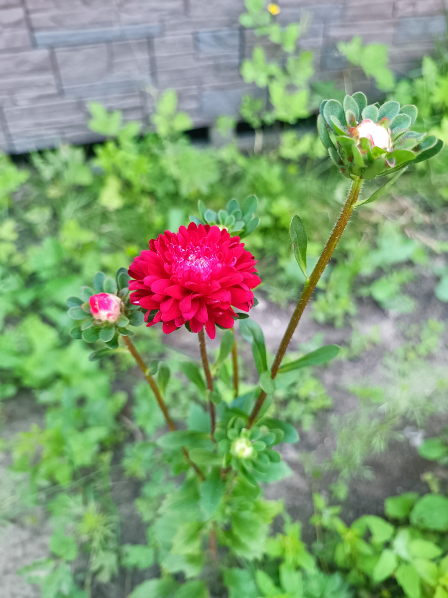 Личное фото