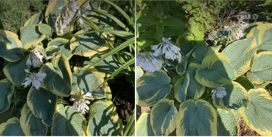 Скрин с экрана моего телефона