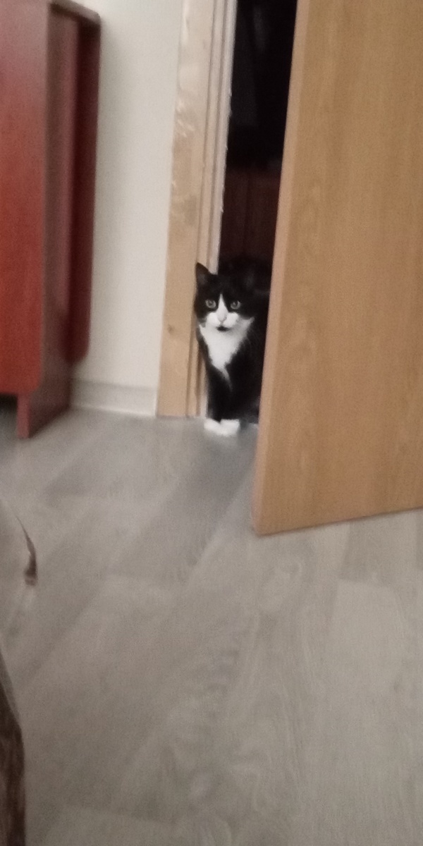 На фото Анфиса проверяет, у всех ли есть докУменты