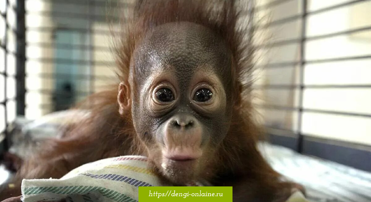 Это не я. Просто картинка из интернета