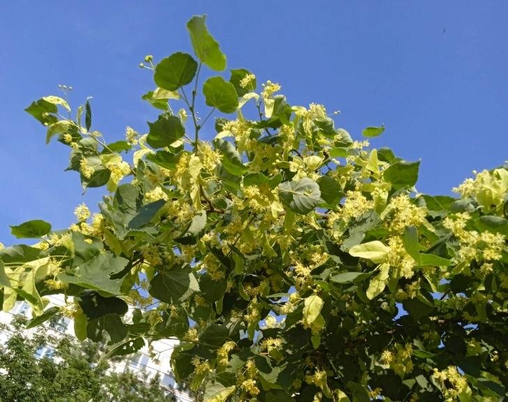    Фото Алексея Яновского